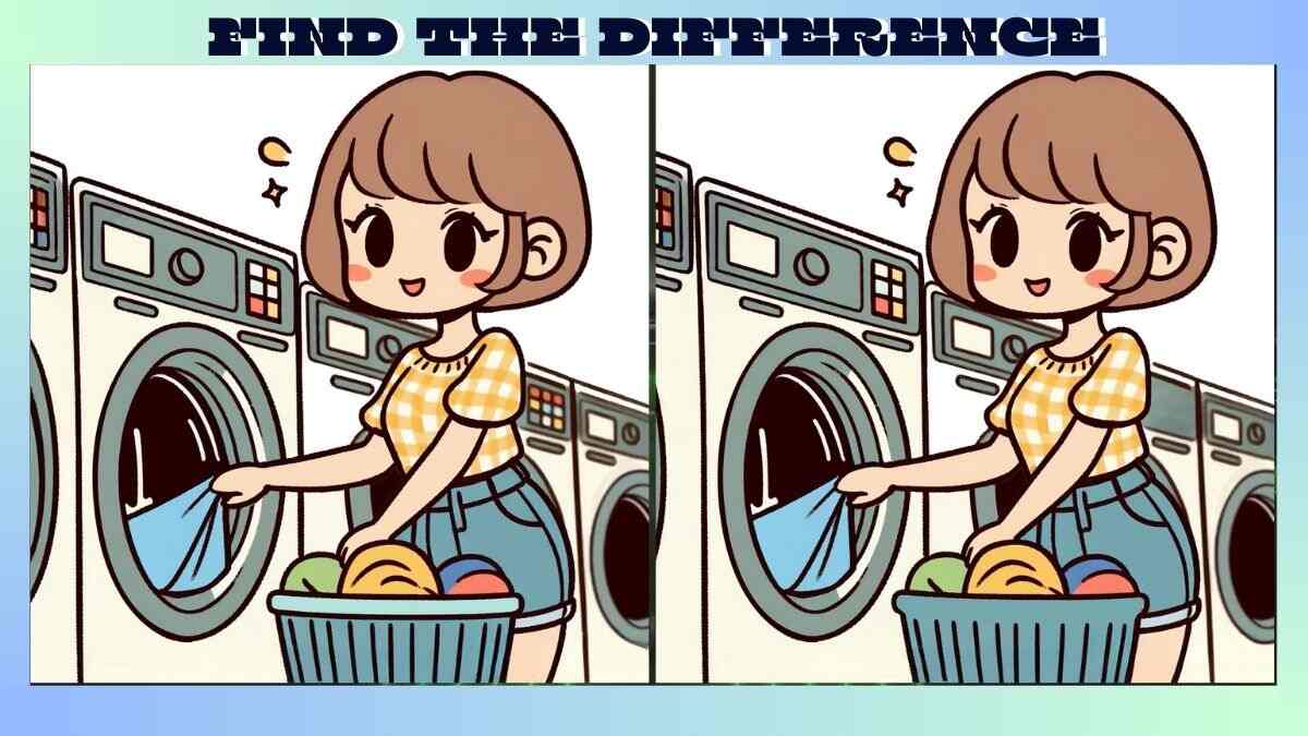 Find 3 Differences in 20 Seconds in Girl Washing Clothes Pictures