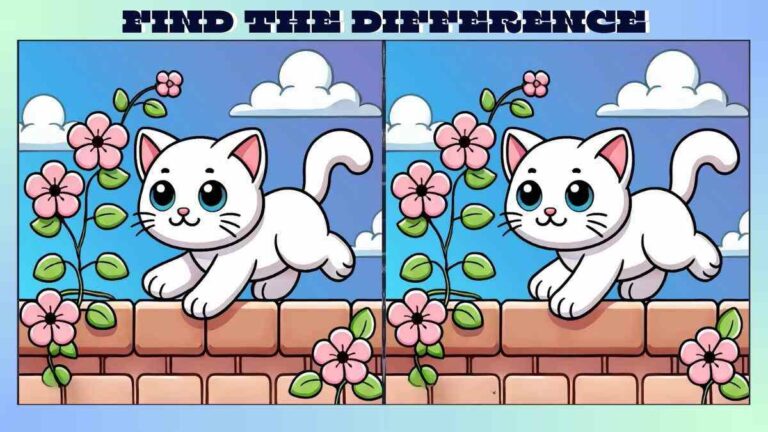 Find 3 Differences in 28 Seconds in Cute Kitten Picture