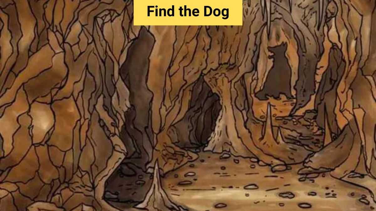 IQ Test: Can you find the dog in the cave in 5 seconds?