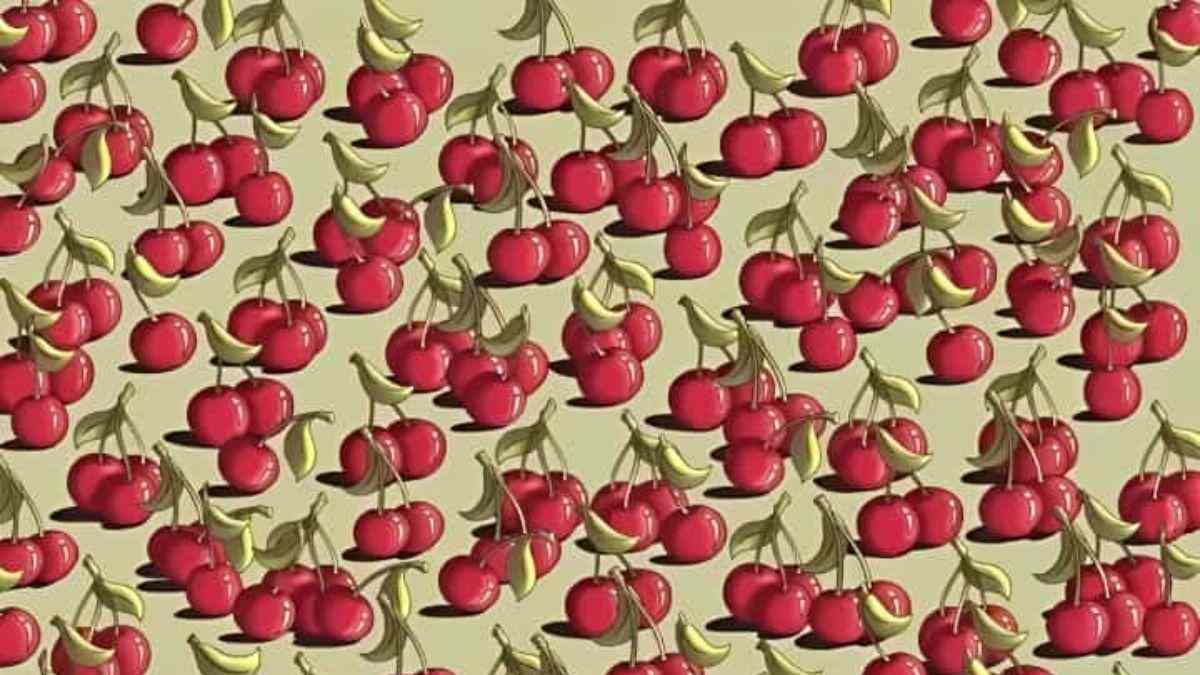 Optical Illusion IQ Test: Only 2% Visually Sharp Can Spot The Tomato In 5 Seconds!