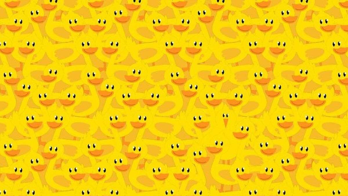 Optical Illusion IQ Test: Spot The Chicken Hidden Among Ducks In 5 Seconds!