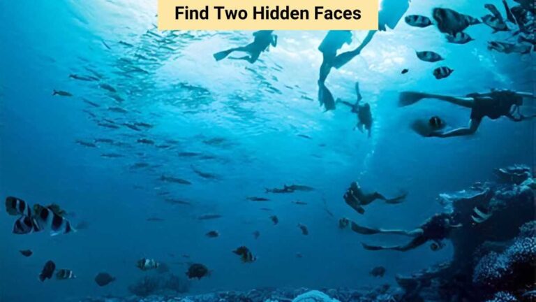 Optical Illusion: Only sharp eyes can find two hidden faces in 6 seconds!