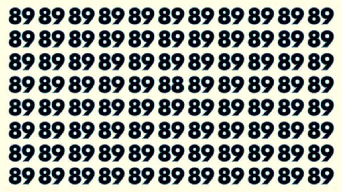 Optical Illusion Test – Only HD eyes can find 88 among 89’s in 6 seconds!