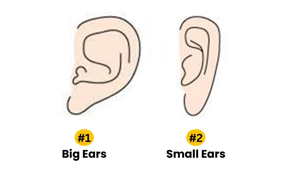 Personality Test: Your Ears Reveal Your Hidden Personality Traits