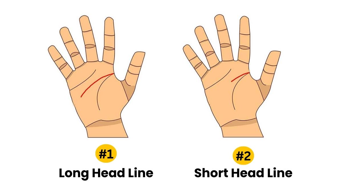 Personality Test: Your Head Line Reveals Your Hidden Personality Traits