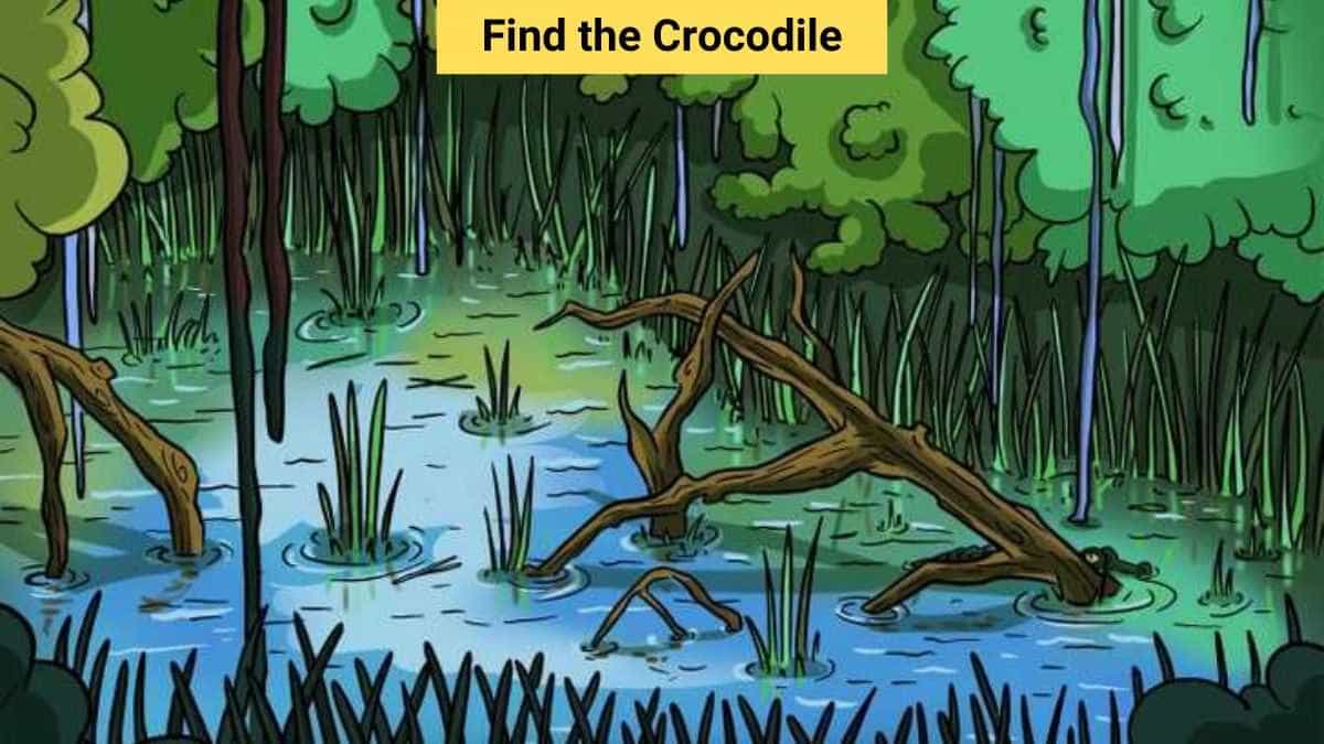 Picture Puzzle IQ Test – Find the hidden crocodile in the marsh in 7 seconds!