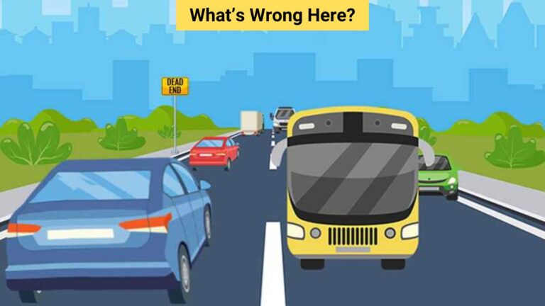 Picture Puzzle IQ Test: Find the mistake in the road picture in 4 seconds!