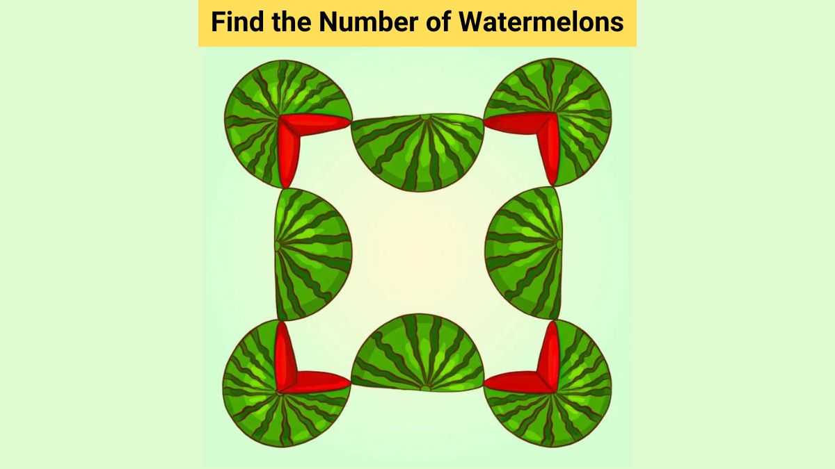 Picture Puzzle IQ Test: Find the number of watermelons in 6 seconds!