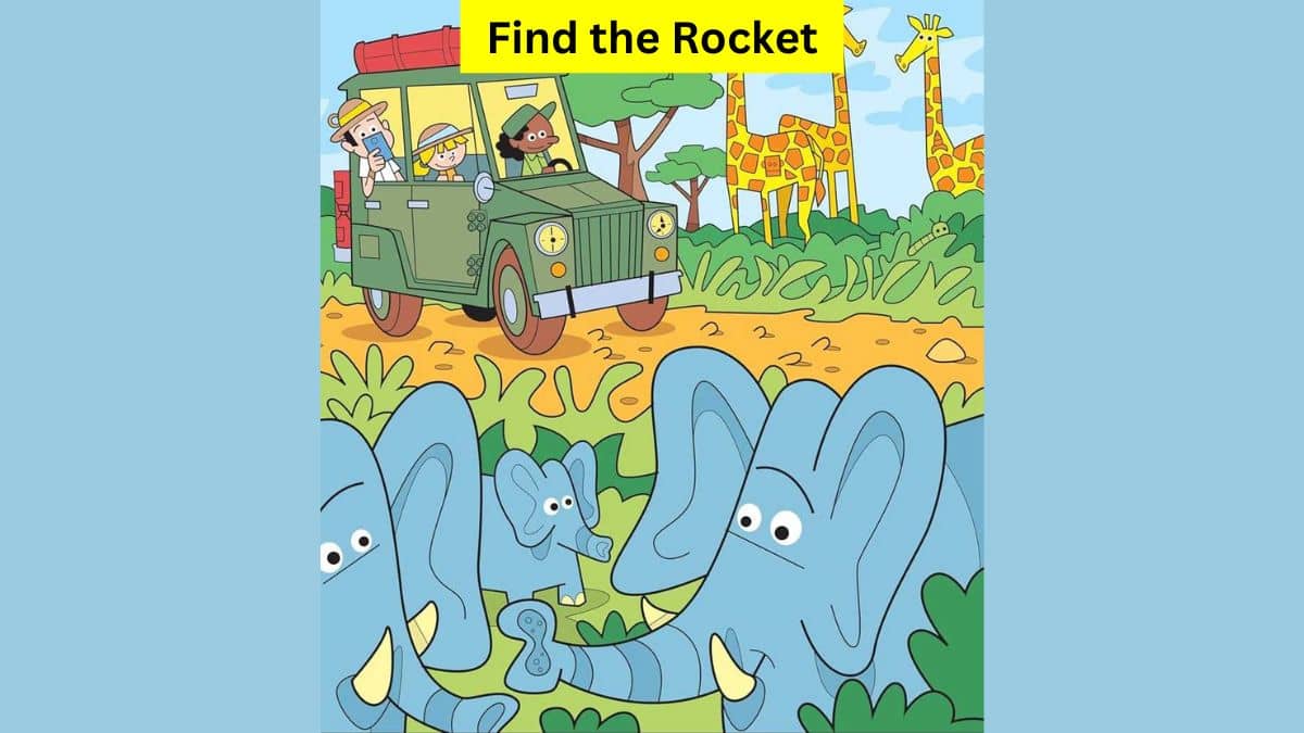 Picture Puzzle IQ Test: Find the rocket in the jungle in 5 seconds!