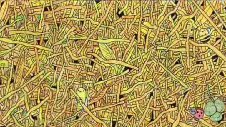 Picture Puzzle IQ Test: How Sharp Are Your Eyes? Spot the Needle in 5 Seconds!