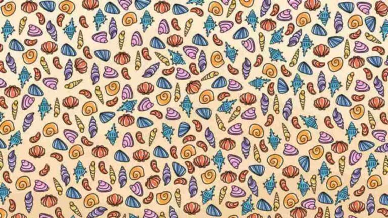 Picture Puzzle IQ Test: Only 1% Visually Sharp Can Spot The Snail Hidden Among Sea Shells In 5 Seconds!