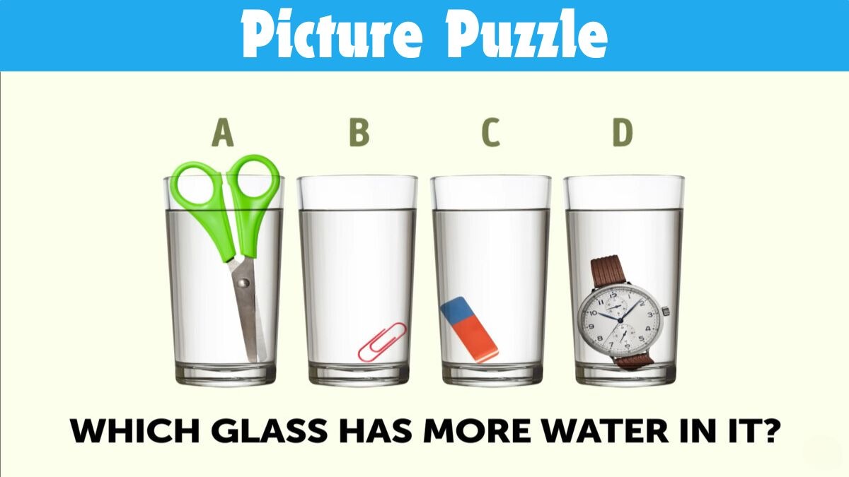 Picture Puzzle IQ Test: Only Geniuses Can Crack This 21-Second Water Puzzle!