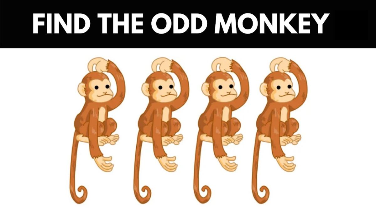 Picture Puzzle IQ Test: Spot the Odd Monkey in This Mind-Boggling Challenge in Just 5 Seconds!