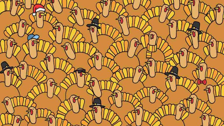 Picture Puzzle IQ Test: Spot the Pumpkin Among Turkeys in 5 Seconds!