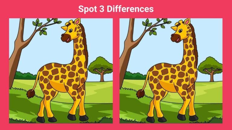 Spot 3 differences between giraffe pictures in 14 seconds!