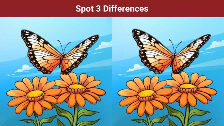 Spot 3 differences between the butterfly pictures in 16 seconds!