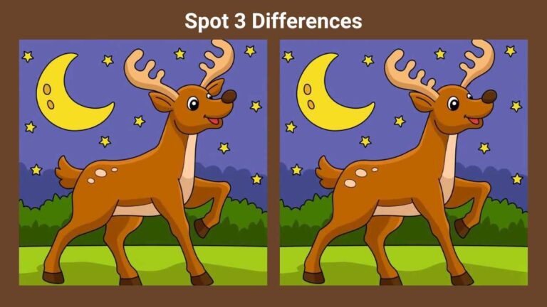 Spot 3 differences between the deer pictures in 23 seconds