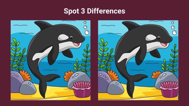 Spot 3 differences between the whale pictures in 19 seconds