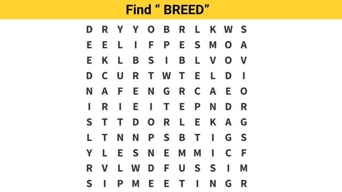 Word Search Puzzle – Find the word ”BREED” in 10 seconds!