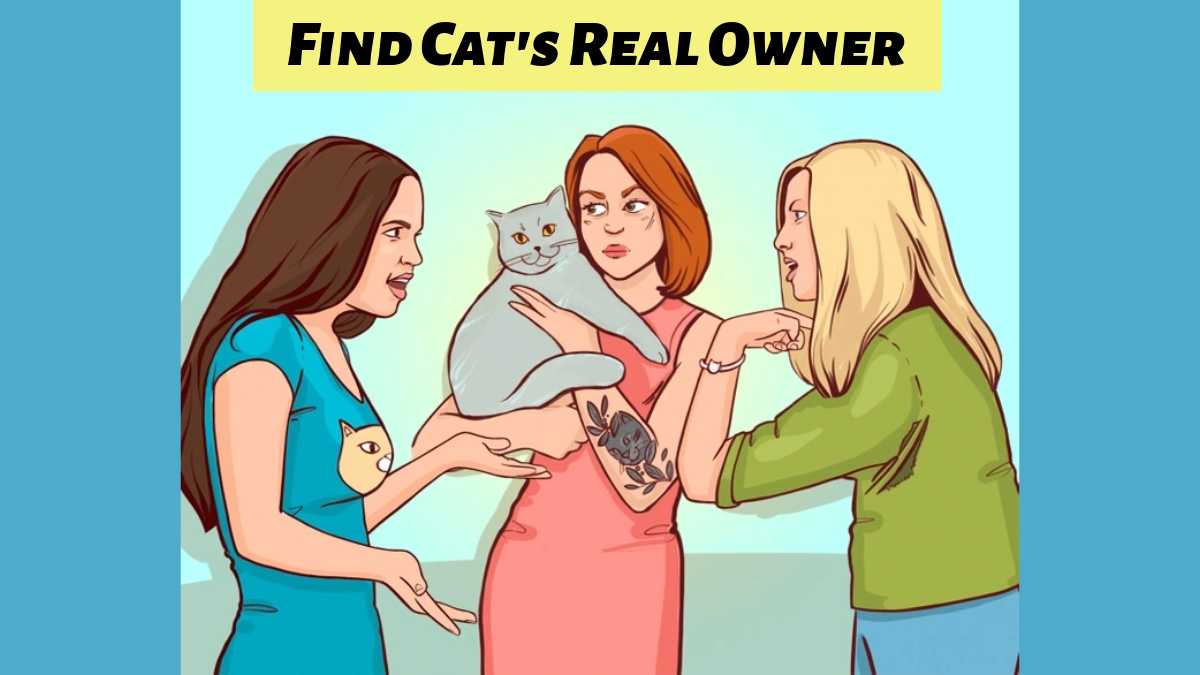 Brain Teaser IQ Test – Can you find the cat’s real owner in 7 seconds?