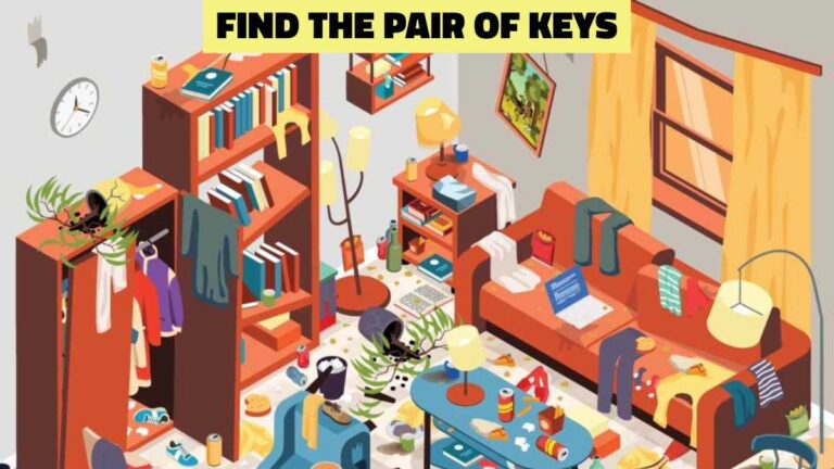 Brain Teaser IQ Test – You have a high IQ if you can find the pair of keys in 10 seconds!