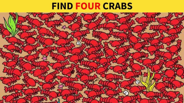 Brain Teaser Puzzle: Find 4 Crabs Among the Lobsters in 14 Seconds!