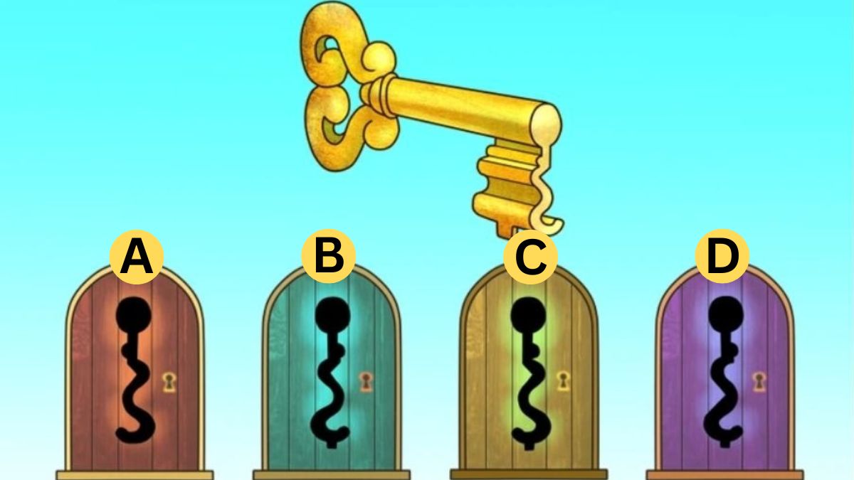 Brain Teasers: Can You Spot The Correct Keyhole? Only 1% Highly Observant Pass This IQ Test In 5 Seconds!