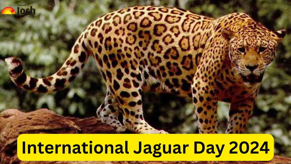 International Jaguar Day 2024: Know About Jaguar Conservation Units Around the World