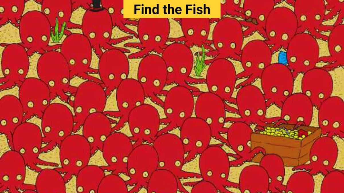 Optical Illusion IQ Test – Find the Hidden Fish among Octopuses in 7 Seconds!