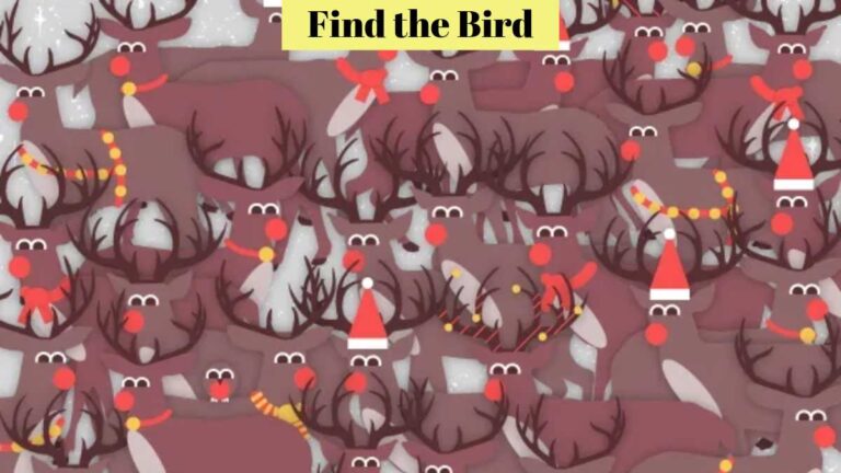 Optical Illusion IQ Test – Find the bird among the group of deer in 8 seconds!