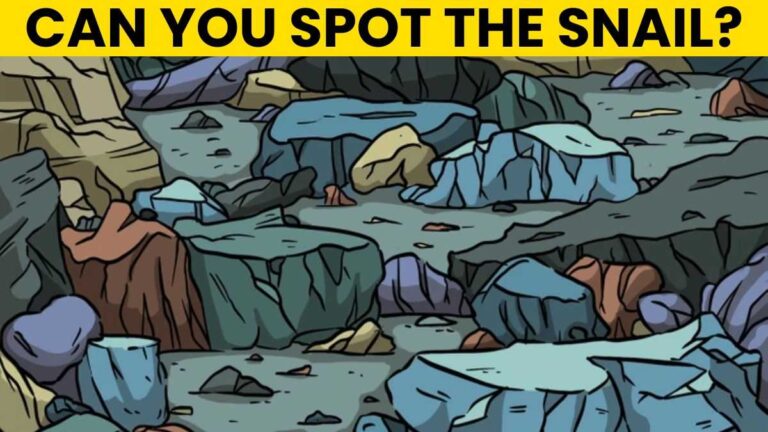 Optical Illusion IQ Test: Only 2% With Sharp Vision Can Spot The Snail In 5 Seconds!