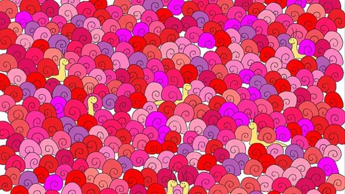 Optical Illusion IQ Test: Only People with Sharp Eyes Can Spot The Heart Among Snails In 5 Seconds!