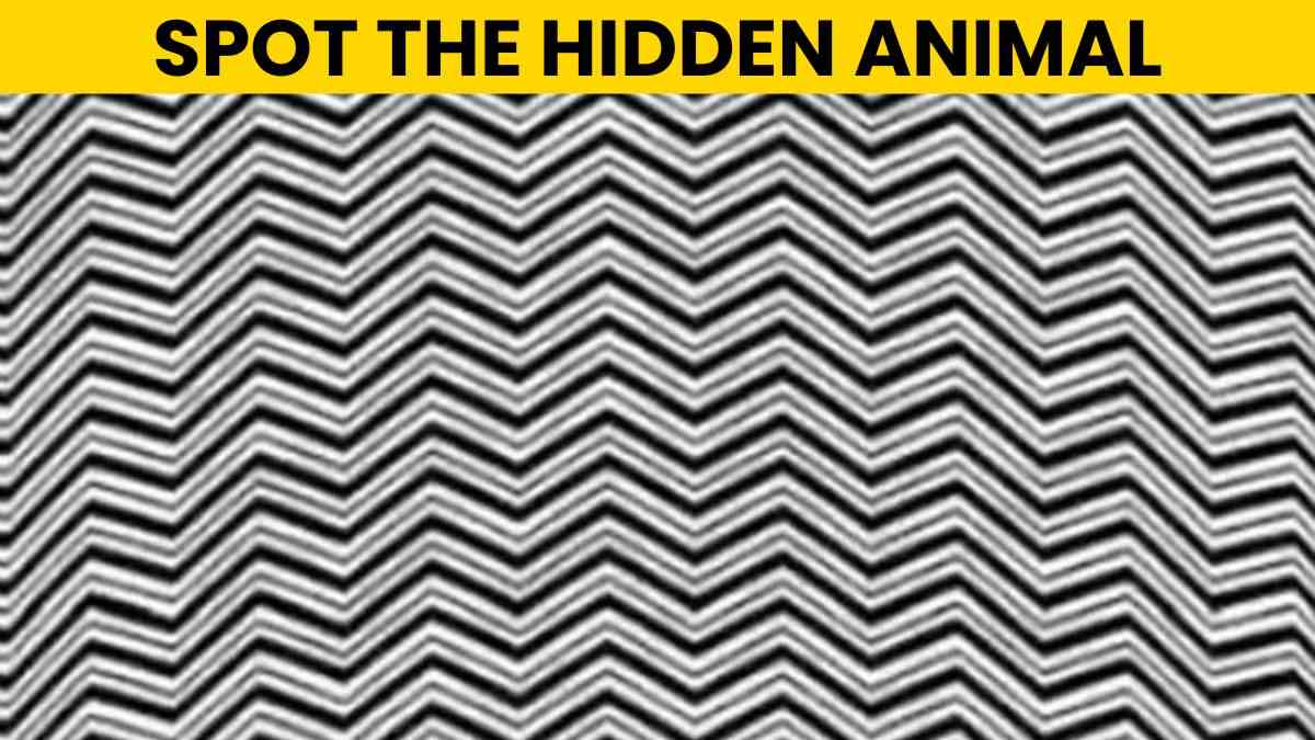 Optical Illusion IQ Test: Prove Your Intelligence! Can You Spot The Hidden Animal In 5 Seconds?