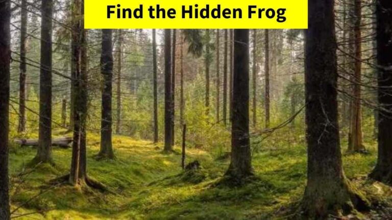 Optical Illusion – Only the most observant eyes can find the hidden frog in 7 seconds!