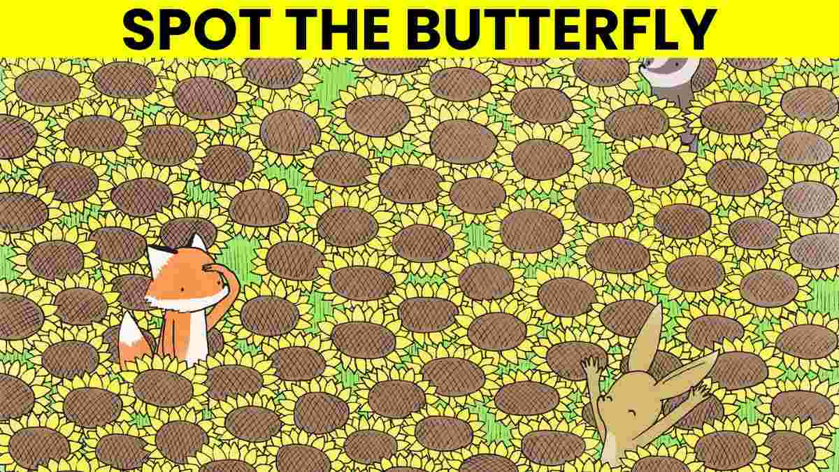 Picture Puzzle IQ Test: Only 2% Highly Attentive Can Spot The Butterfly In 5 Seconds!