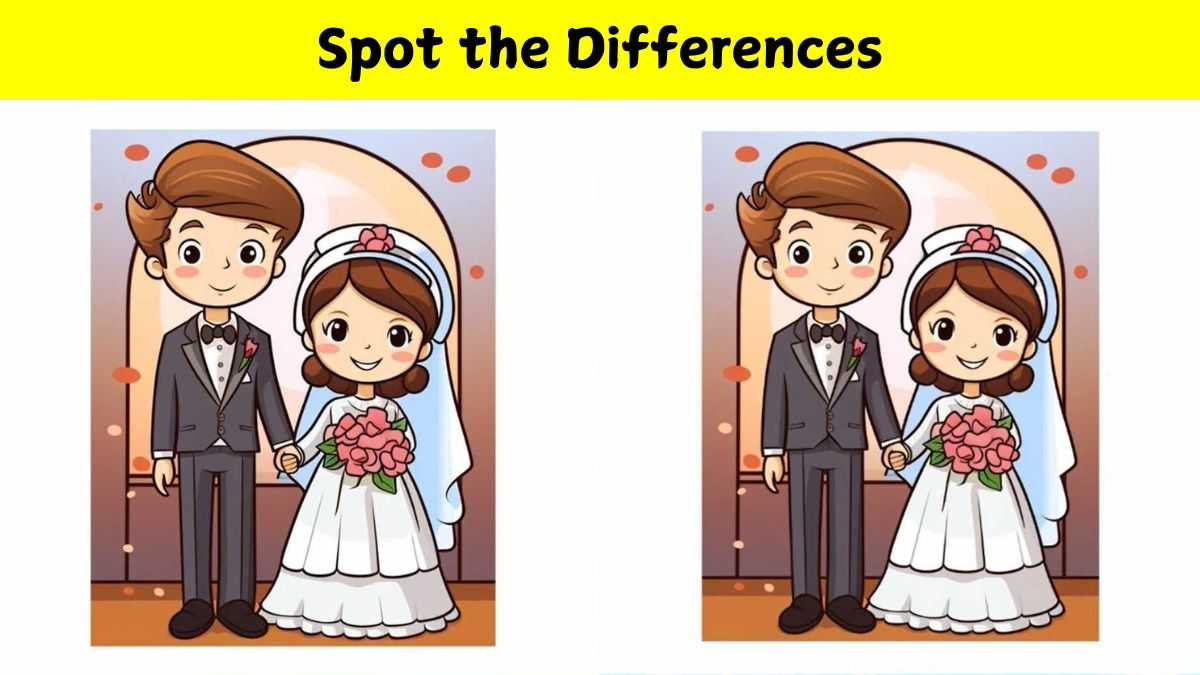 Spot 3 differences between the newly-wed couple pictures in 23 seconds!