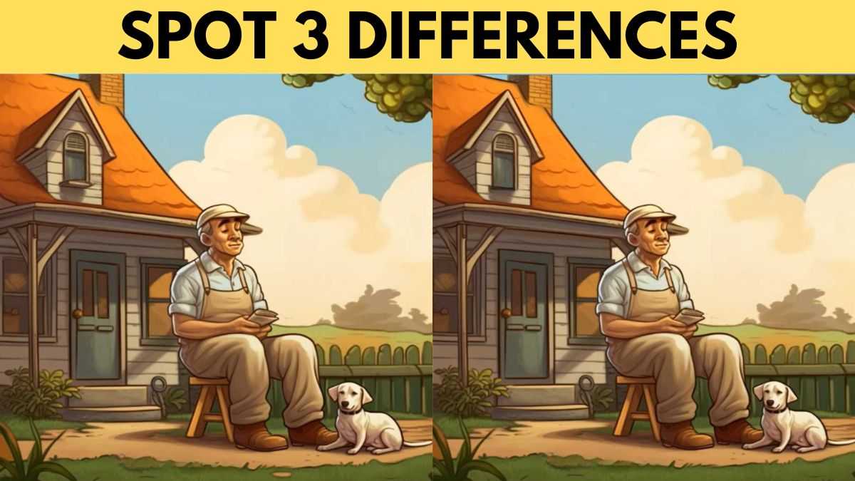 Spot 3 differences between the old man and his dog pictures in 17 seconds!