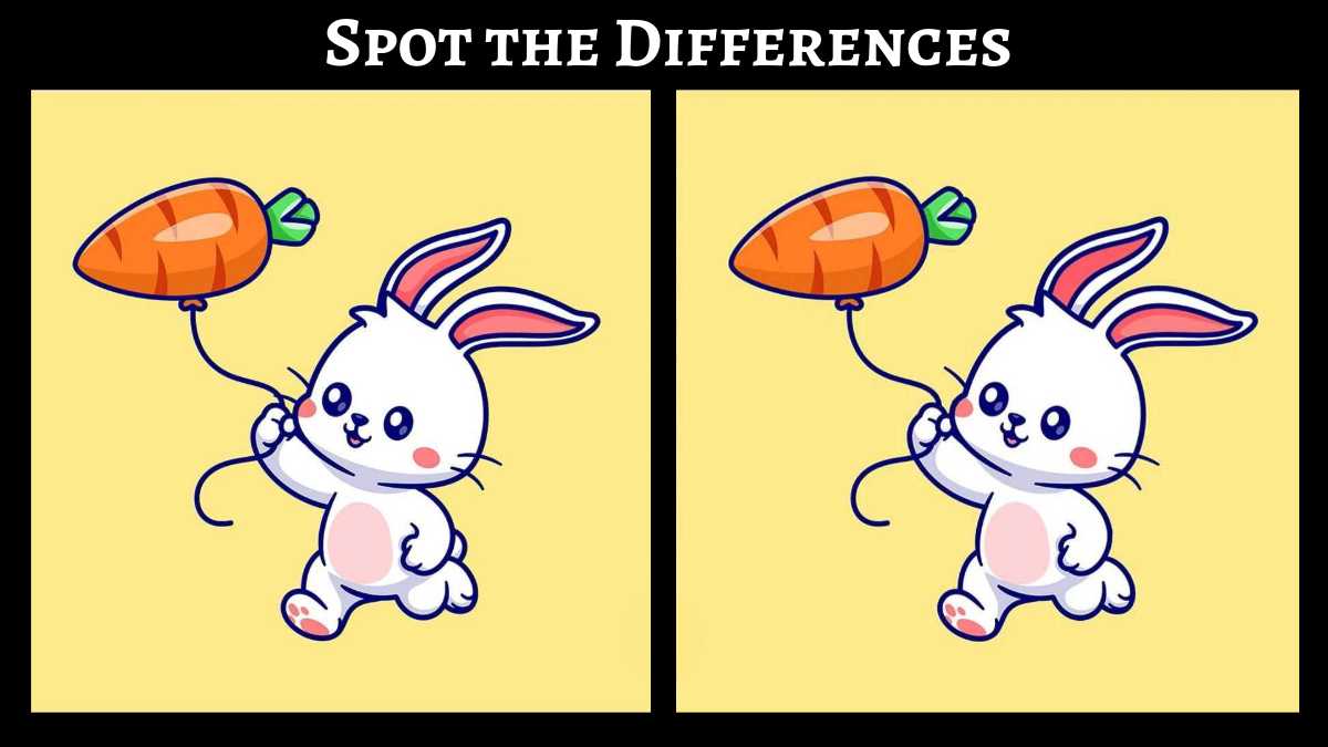 Spot 3 differences between the running rabbit pictures in just 21 seconds!