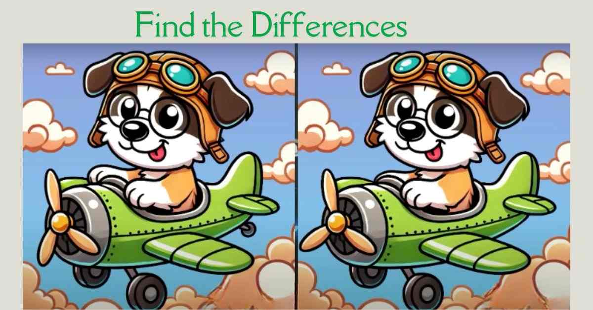 Spot the 3 Differences in Dog Flying an Aeroplane– Beat the 23-Second Challenge!