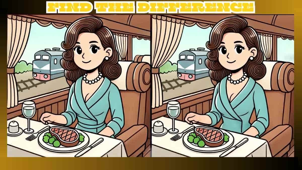 Spot the 3 Differences in Lunch in Train Pictures – Beat the 19-Second Challenge!