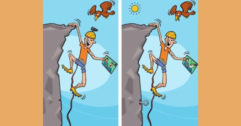 Spot the Difference: Think Your IQ Is High Enough? Try to Spot the 6 Differences in This Puzzle