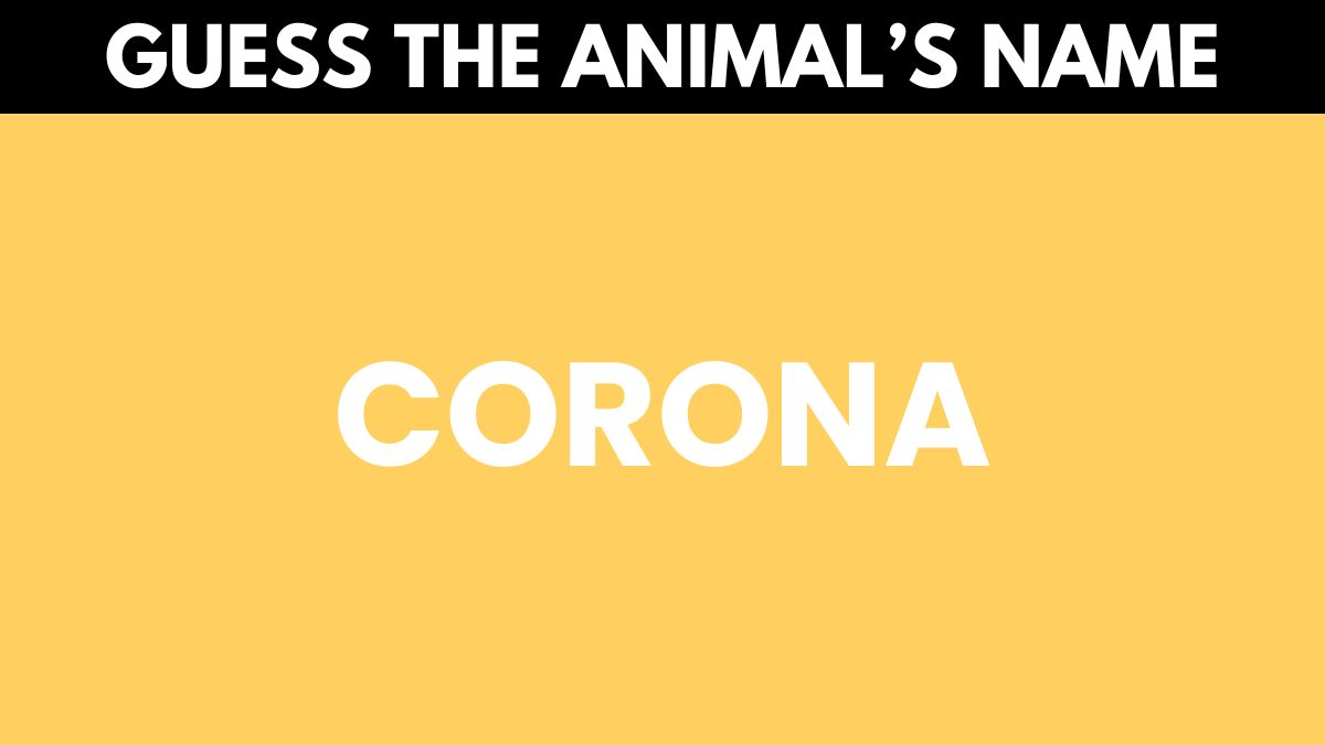 Test your IQ by guessing the animal’s name in 3 seconds!