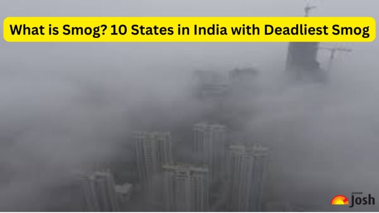 What is Smog? 10 States in India with Deadliest Smog