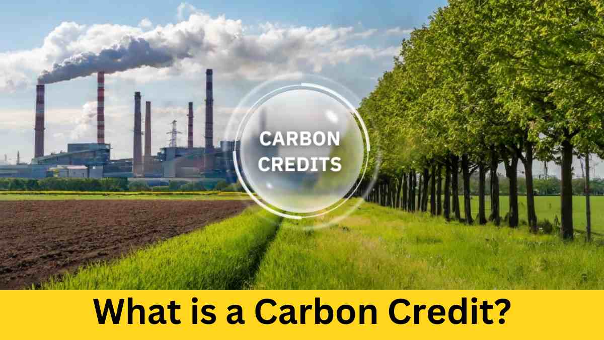 What is a Carbon Credit? It’s Role in Emission Reduction and Article 6 of the Paris Agreement