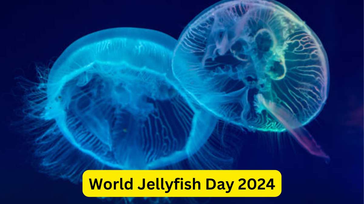 World Jellyfish Day 2024: Purpose, Interesting Facts, and Celebrations