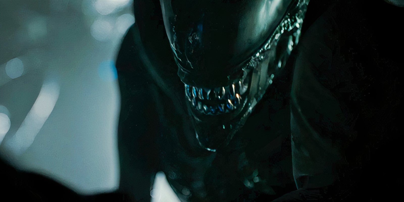 10 Great Books For Fans Of The Alien Franchise