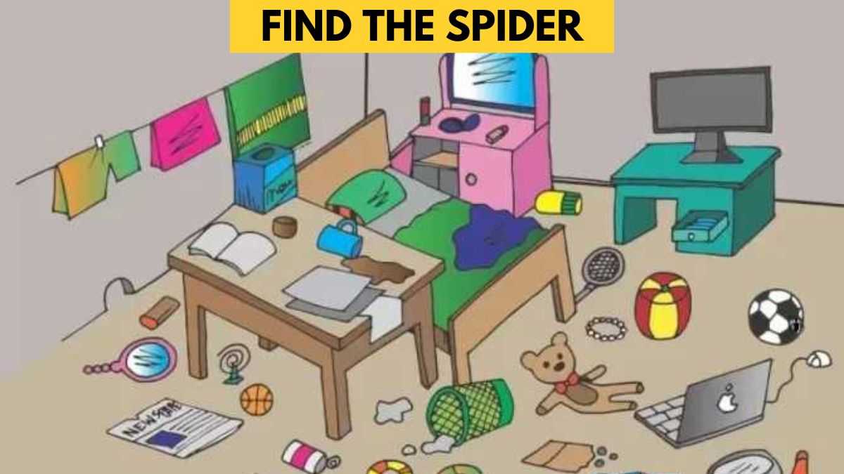 Brain Teaser: You Have HD Eyes if You Can Spot the Spider in 7 Seconds!