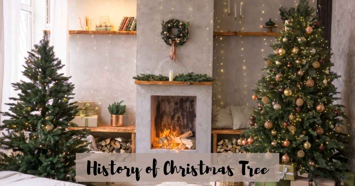 Christmas 2024: From Forests to Festivities; History Behind the Christmas Tree