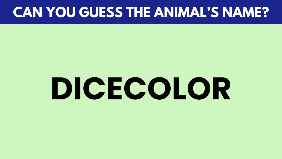 IQ Test: Guess the animal’s name in 5 seconds!