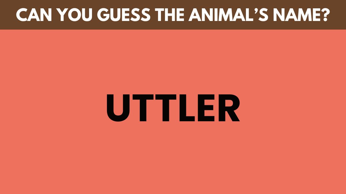 IQ Test: Only high IQ minds can guess the animal’s name in 6 seconds!